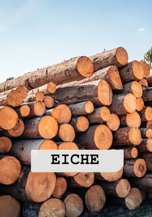 Stammholz – Eiche – ganze LKW-Ladung